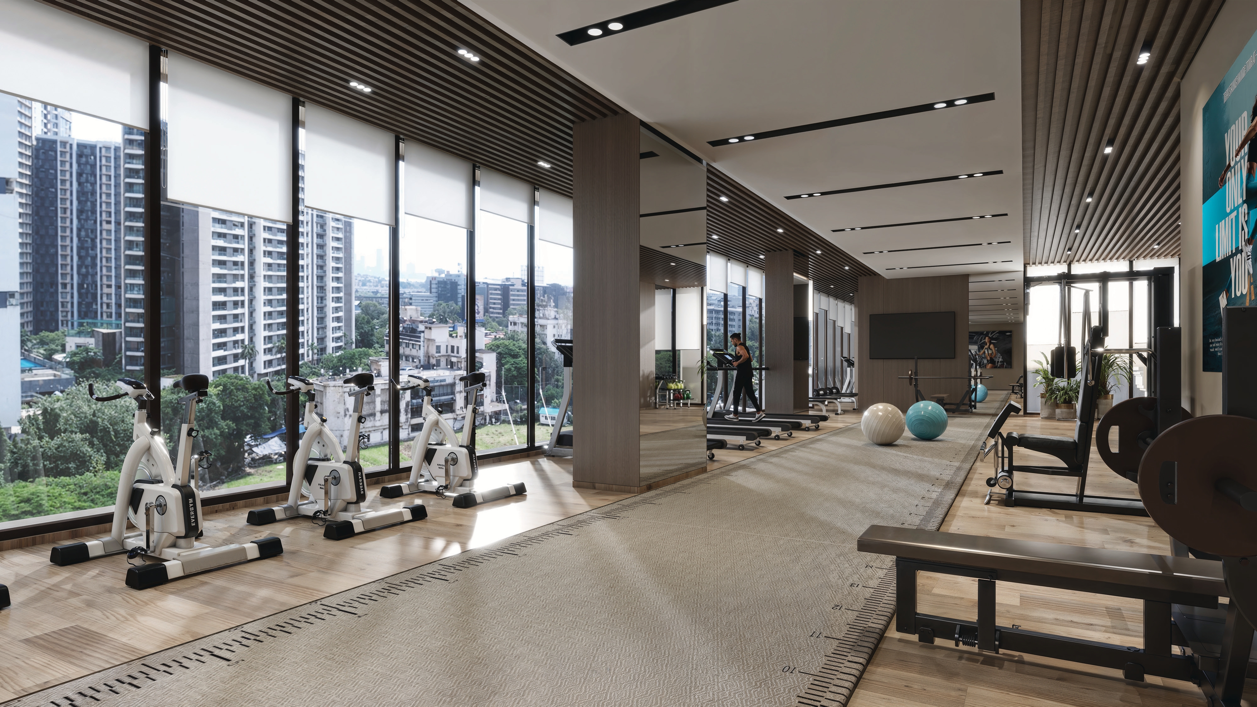 Project View